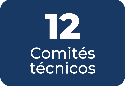 12 Comités técnicos