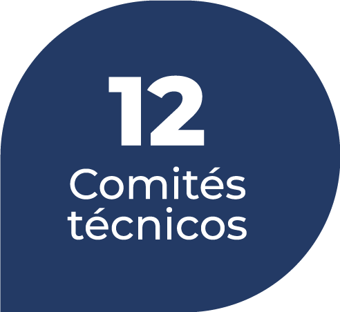 comite-tecnico