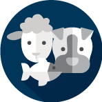icono medicamentos veterinarios